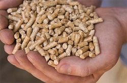 WE SELL WOOD PELLETS, DIN PLUS, 6 mm. LARGE QUANTITIES €0