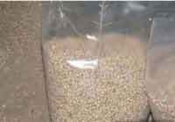 Wood pellets sells in Poltava €0