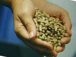 High Quality Wood Pellets made in the UK €0