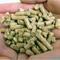 Wood Pellets 6 and 8 mm €0