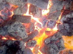 Fuel briquette of hydrolysine lignine produced €0