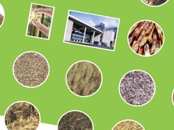 Complete pellet manufacturing equipment with a capacity of 5 ton/hour  €0