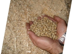 Selling wood pellets din+ ash 0,5 €0