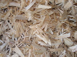 Pine chips in stock €0