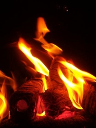  We Manufactures and offers wooden fuel briquettes pressed of coniferous sawdust €0