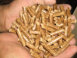 Sell wood pellets of pure wood, saw dust, wood shavings, wood chips €0
