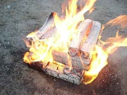 wood briquettes Pini Kay €0