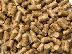Pellets manufacturer is looking for a buyer! €0