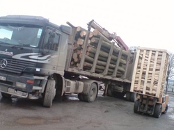 Firewood for fireplace in stock for export   €0