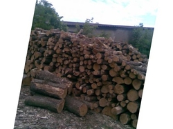 Firewood of oak purchase  €0