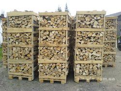 Firewood of beech, hornbeam buying €0