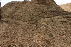 Fuel chips from Latvia / Ventspils €0