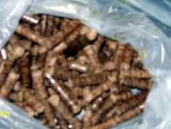 Supply wood pellets fuel €0
