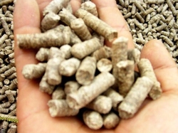 Sell wood pellets fuel €0