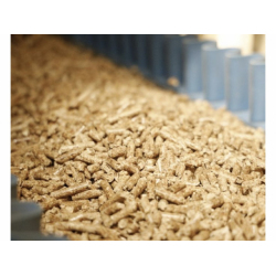 Angebot von Premium-Holzpellets, EXW Zajecar, Serbien
