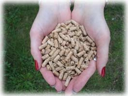 Sell Wood Pellets 100-1000 ton/manth €0