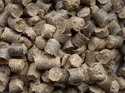 Looking for the biomass €0