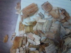 USA PINE WOOD CHIPS FOR SALE. €0