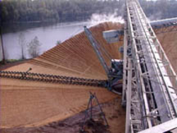 PINE WOOD CHIPS €0