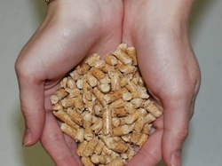 Piney Woods Pellets €0