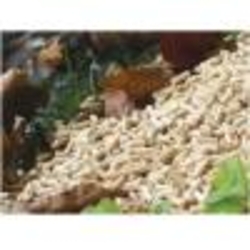 Selling pellets in Ukraine €0