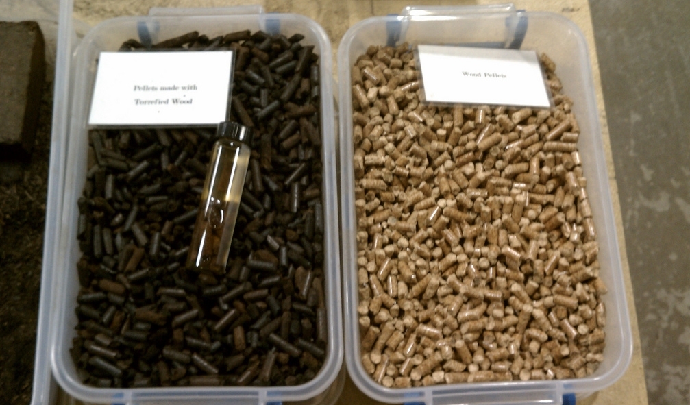 Torrefied pellets biomass fuel