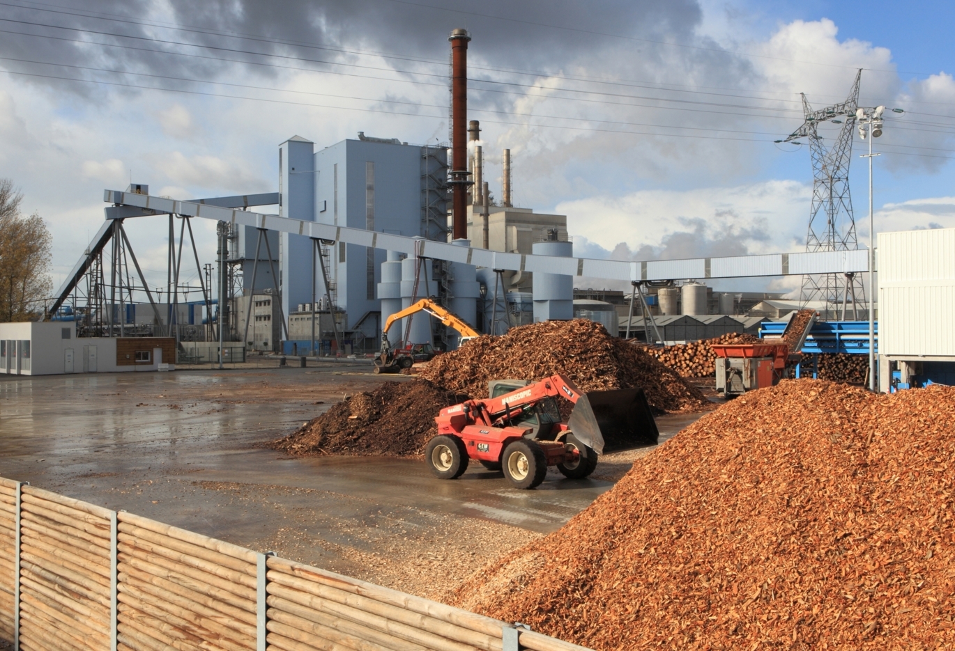 Biomass action